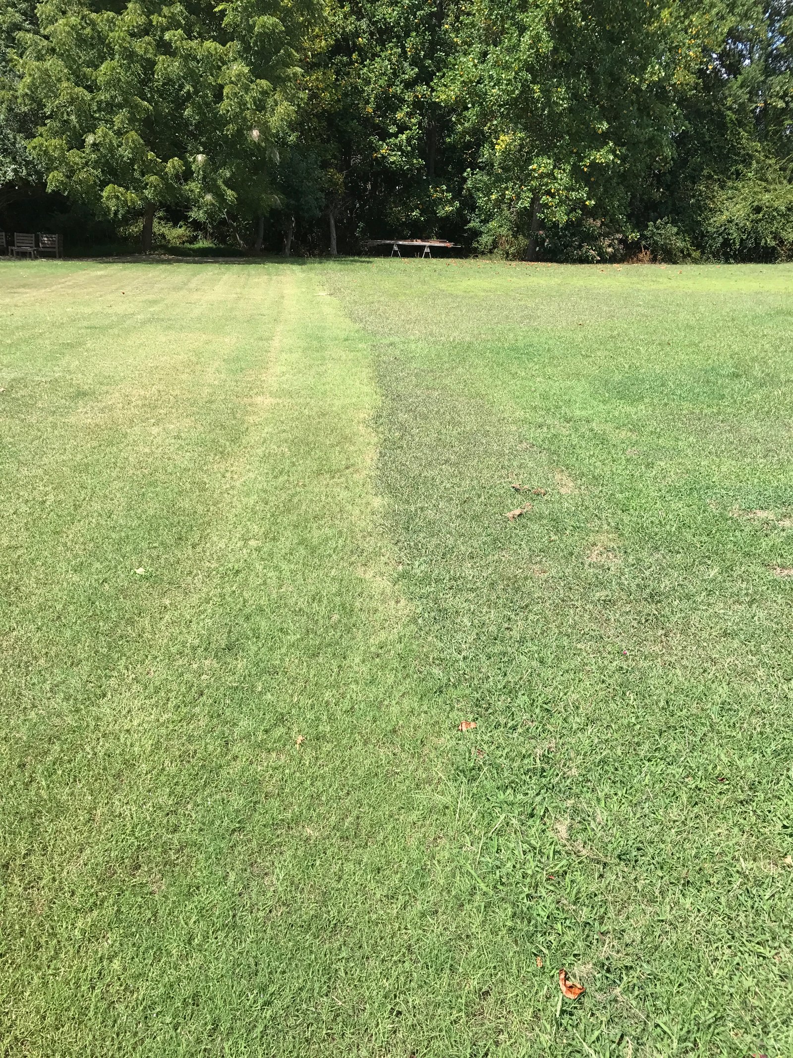 Manicured lawn