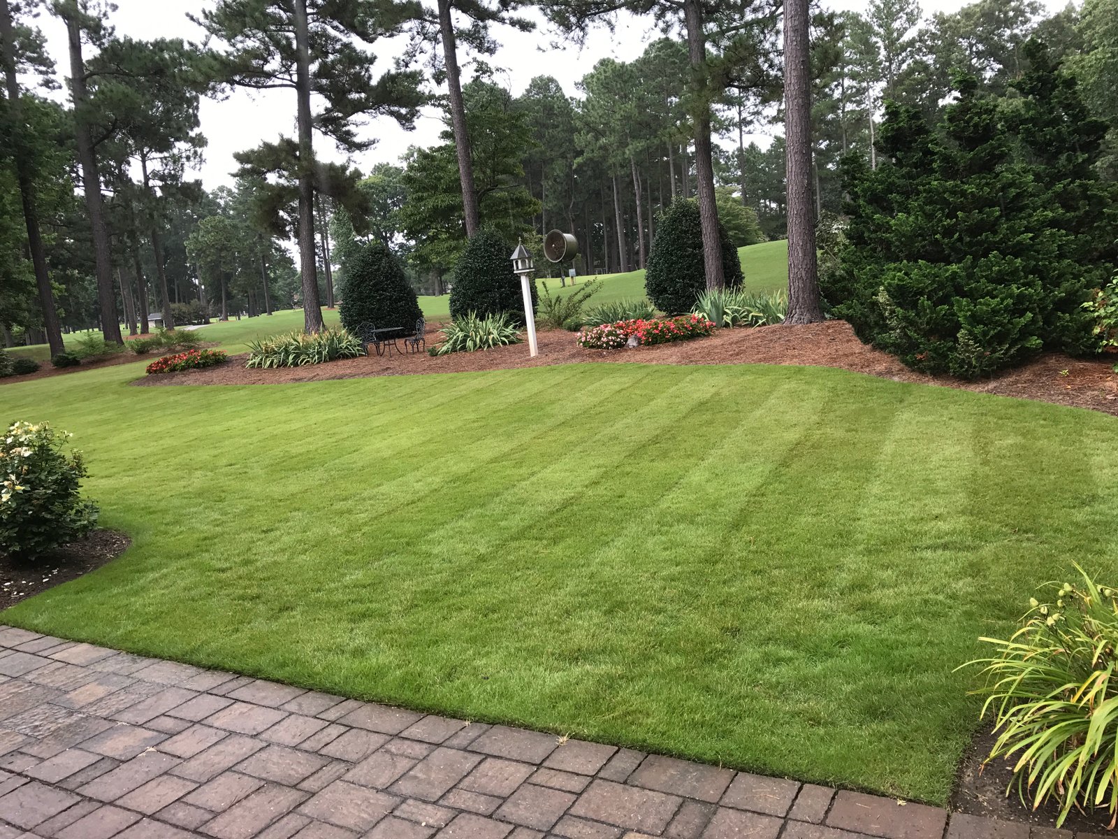 Healthy turf project